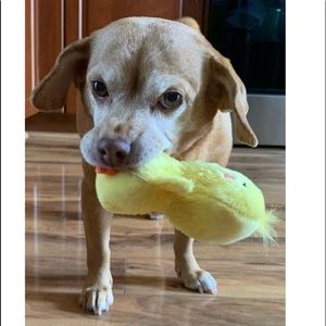 Meet your Posher, Lili